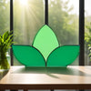 Visiorax